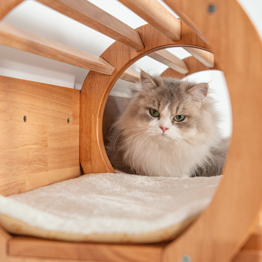 Wall Mounted Cat Tunnel product image 5
