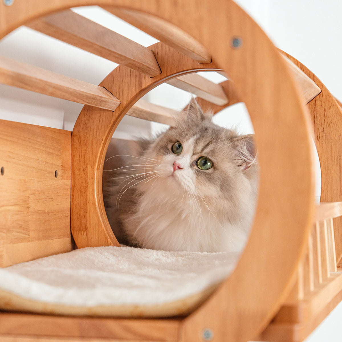 Wall Mounted Cat Tunnel product image 6