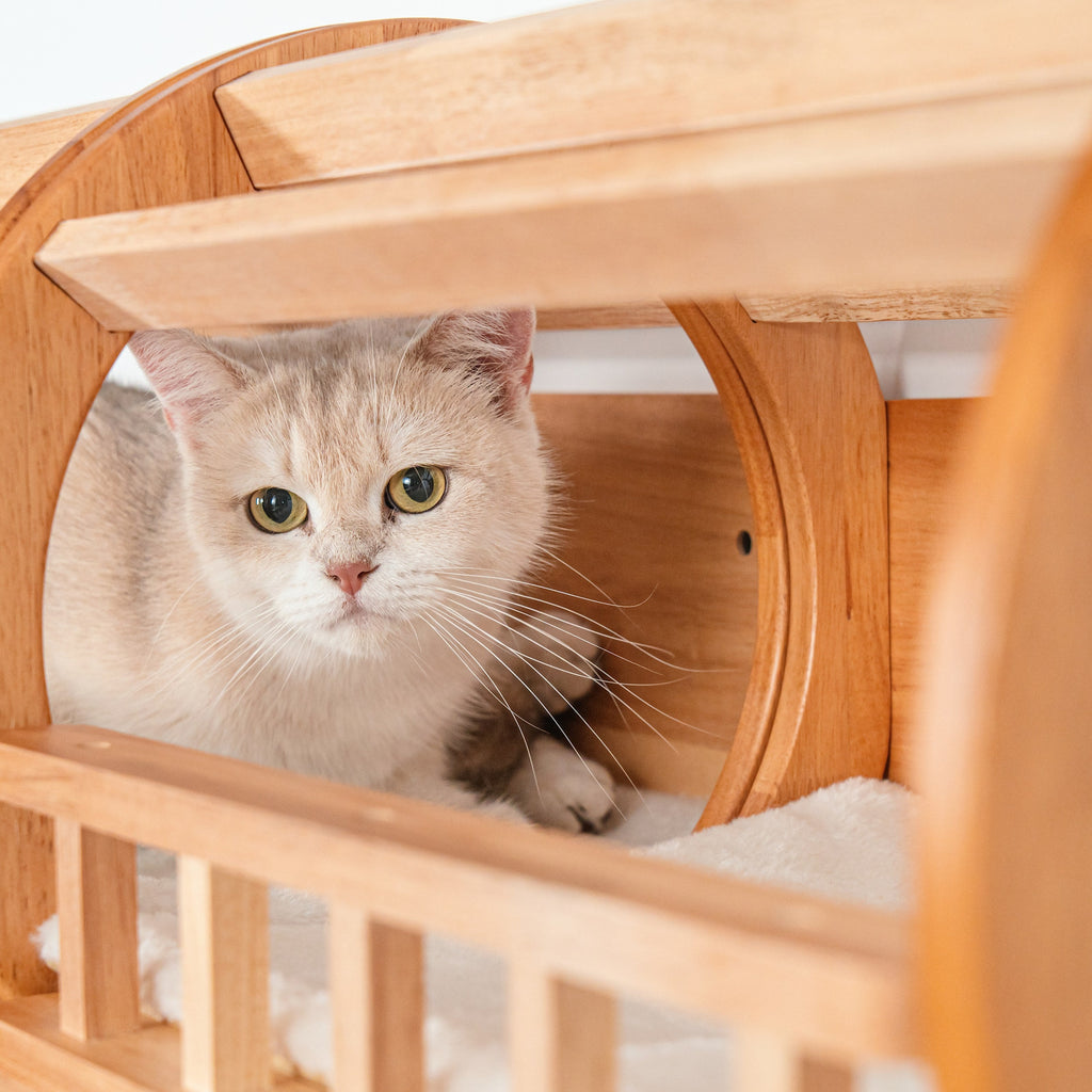 Wall Mounted Cat Tunnel product image 7
