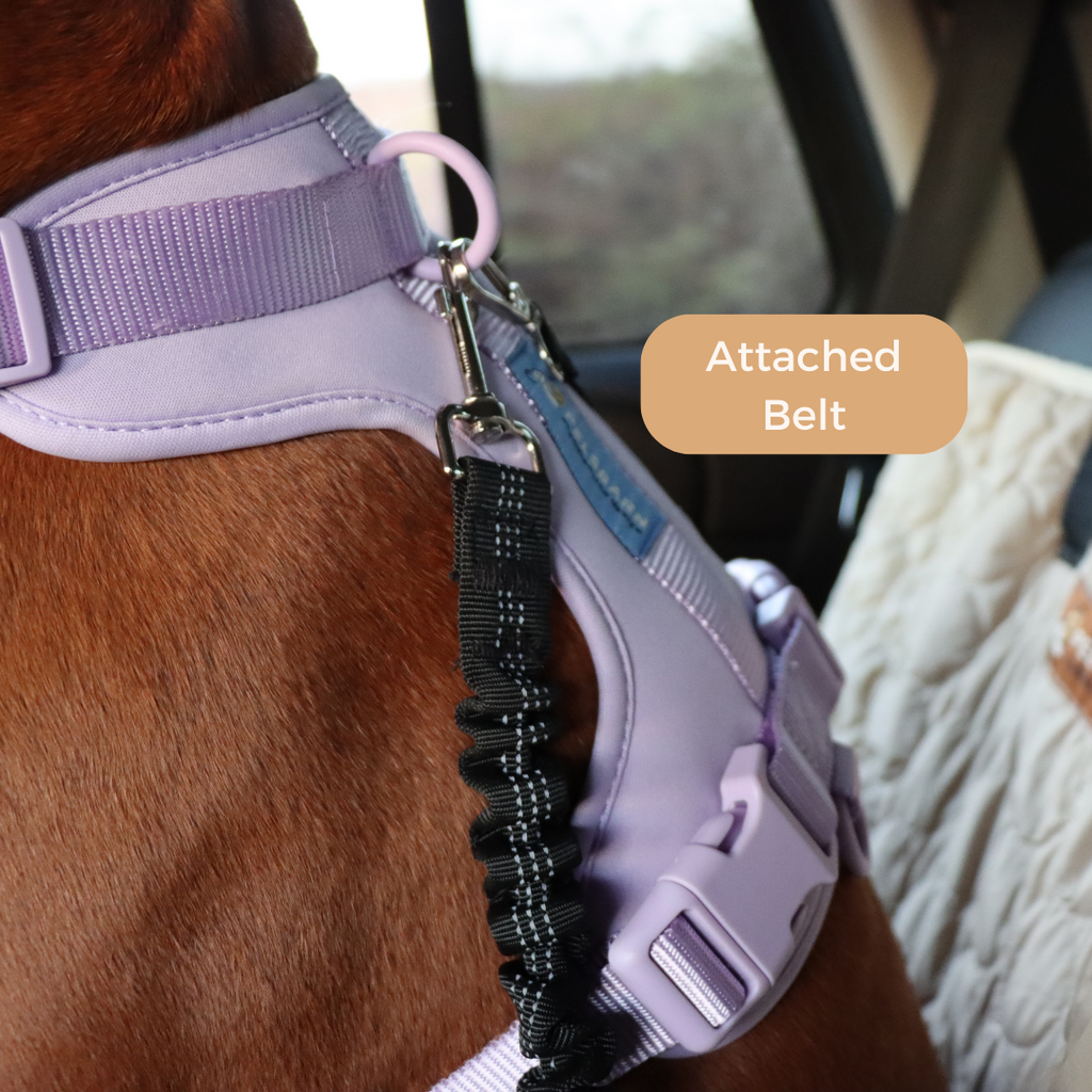Cooling Car Pet Bed product image 11