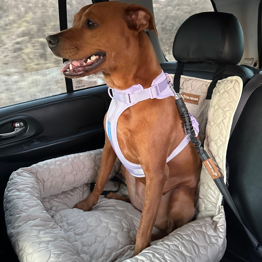 Cooling Car Pet Bed product image 14