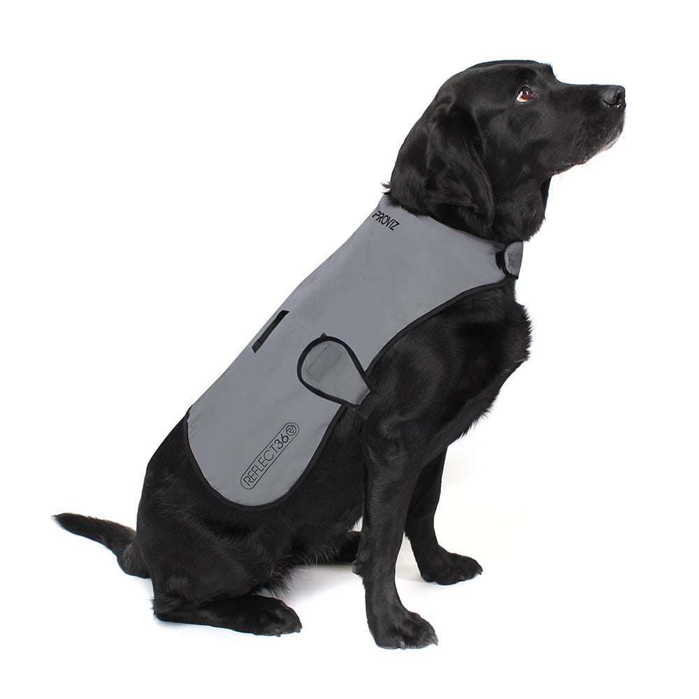 Dog Coat product image 1
