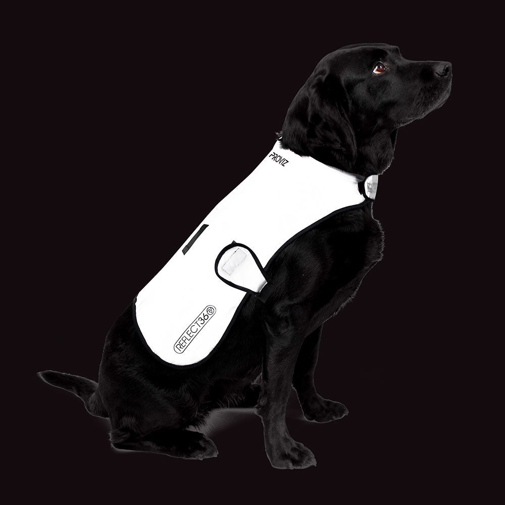 Dog Coat product image 2