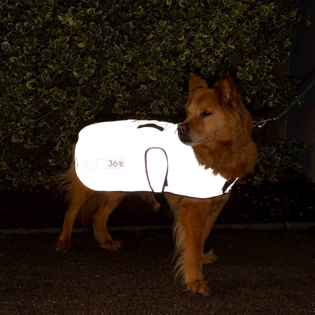 Dog Coat product image 3