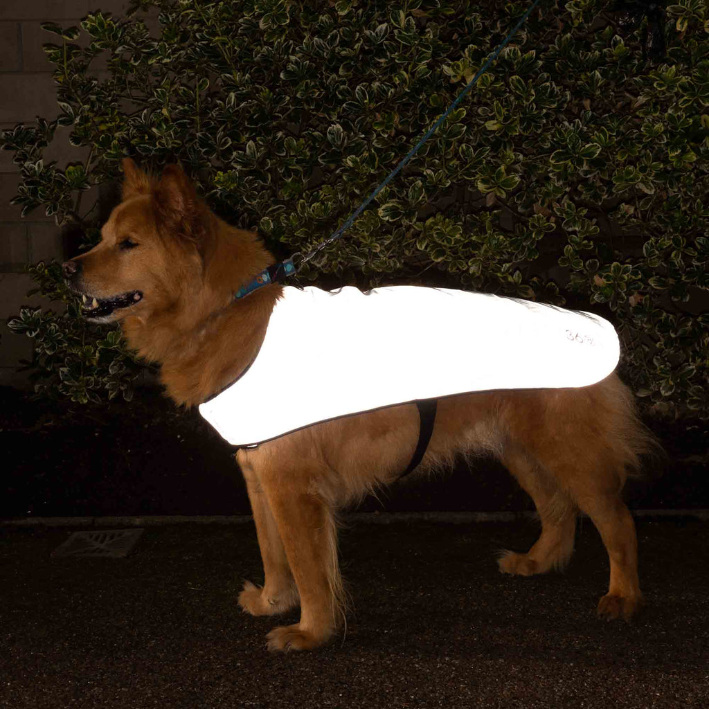 Dog Coat product image 4