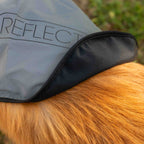 Dog Coat product image 6