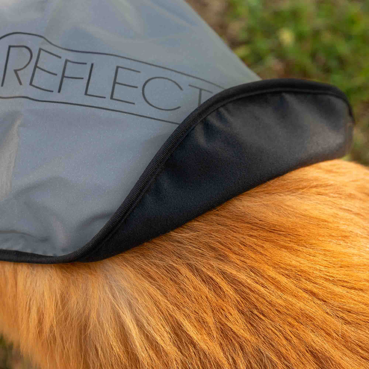 Dog Coat product image 6