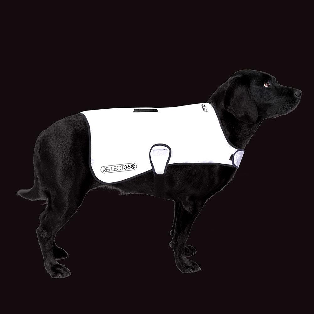 Dog Coat product image 8