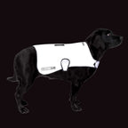 Dog Coat product image 8