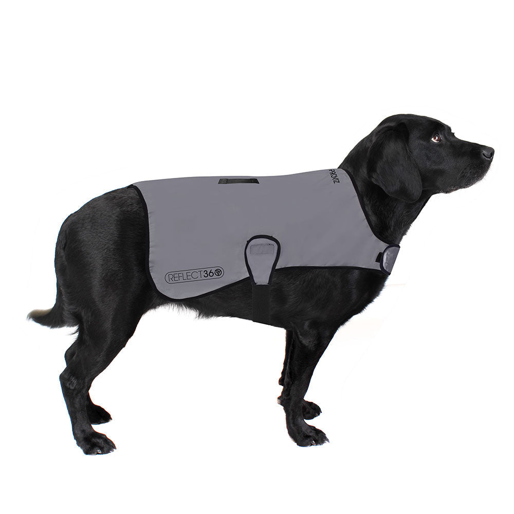 Dog Coat product image 9