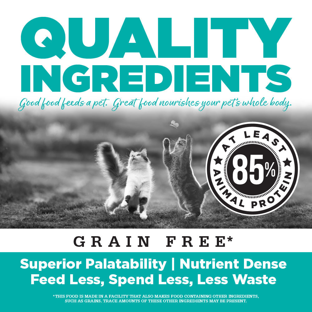 Cat Food product image 5