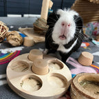 Small Animal Puzzle Toy product image 2