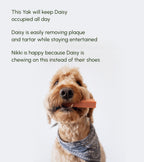 Yak Cheese Dog Chew product image 10