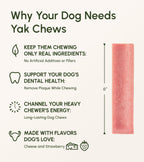 Yak Cheese Dog Chew product image 11