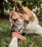 Yak Cheese Dog Chew product image 13