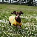 Dog T-Shirt product image 1