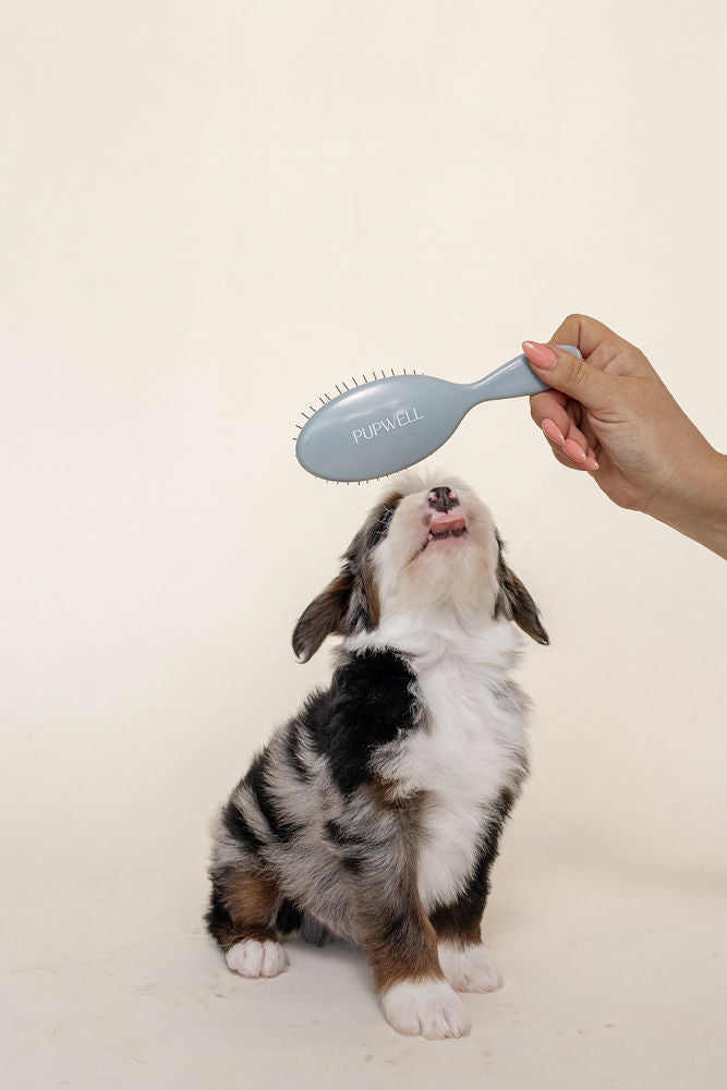 Dog Grooming Brush product image 1
