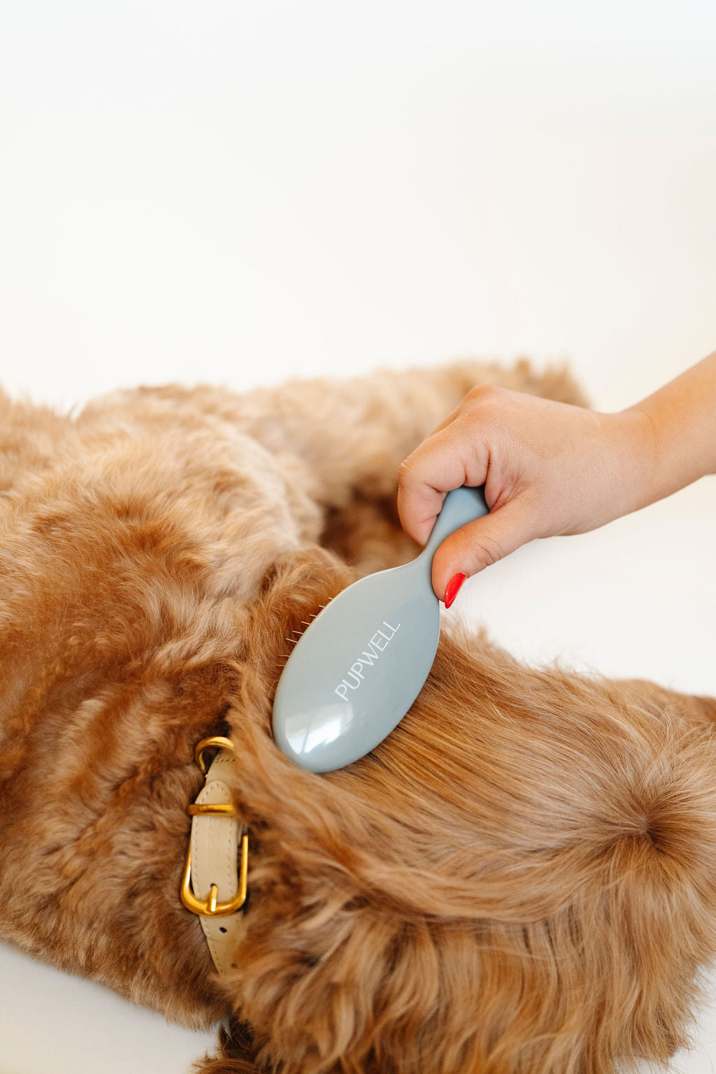 Dog Grooming Brush product image 3