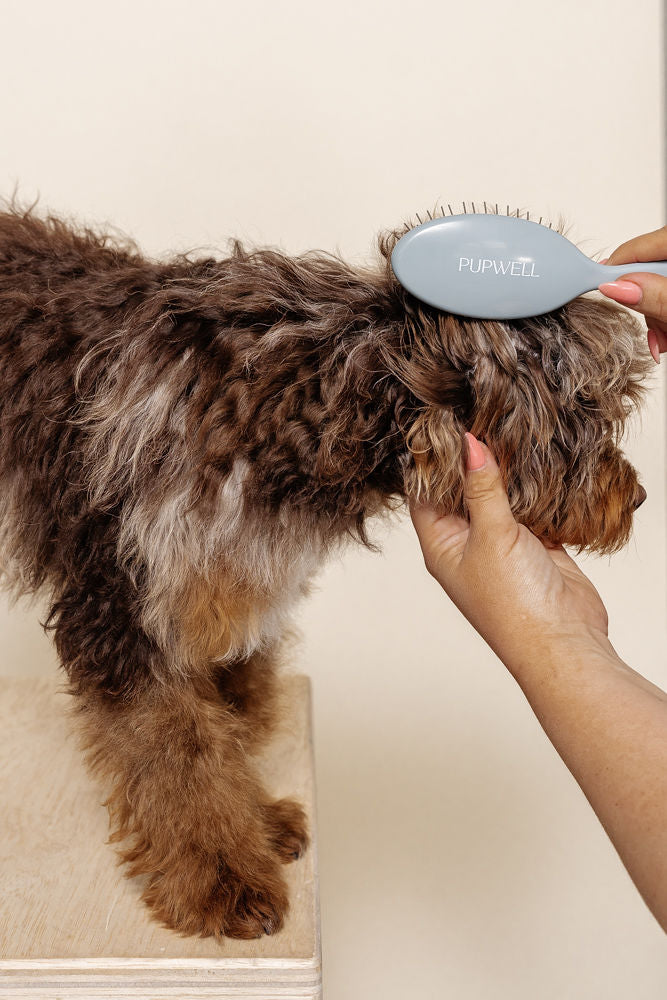Dog Grooming Brush product image 4
