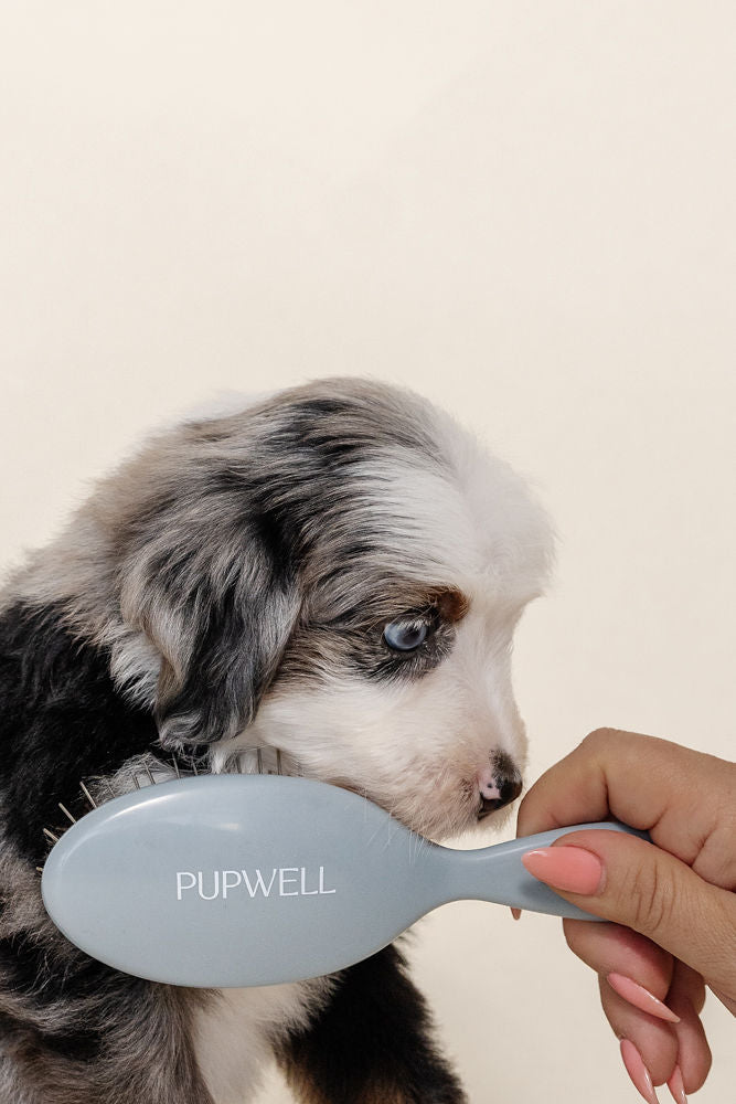 Dog Grooming Brush product image 5