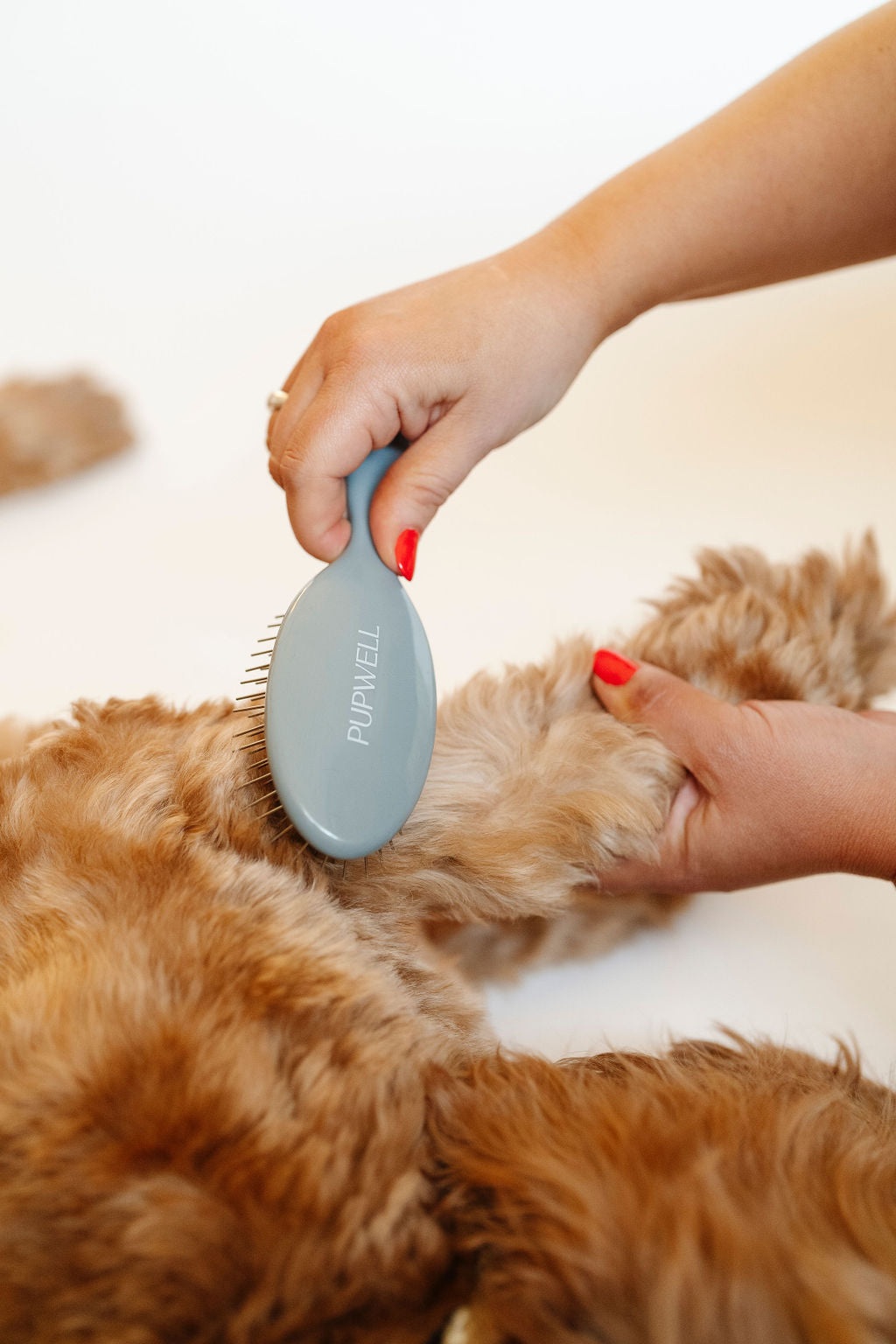 Dog Grooming Brush product image 7
