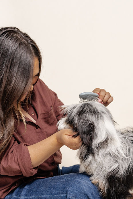 Dog Grooming Brush product image 10