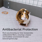 Guinea Pig Ramp Liner product image 4