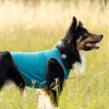 Dog Cooling Vest product image 1
