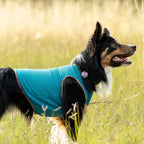 Dog Cooling Vest product image 1