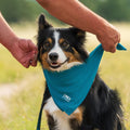 Cooling Dog Bandana product image 1