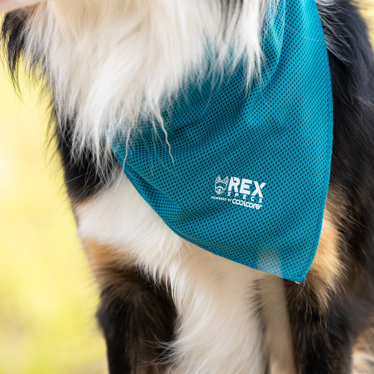 Cooling Dog Bandana product image 2