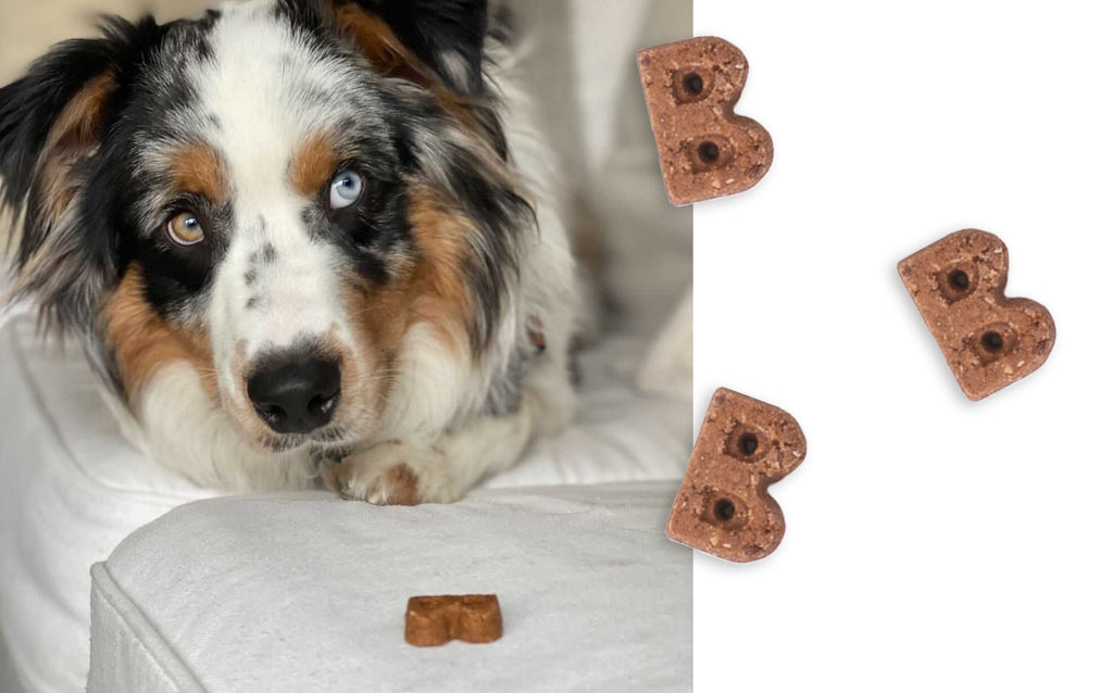 Soft Dog Treats product image 2