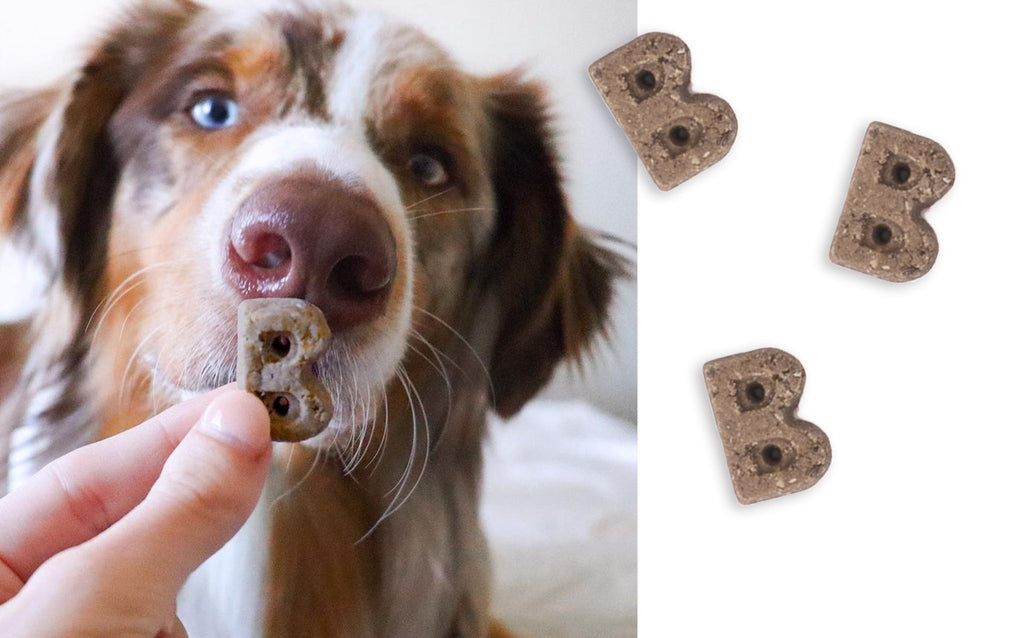 Soft Dog Treats product image 13