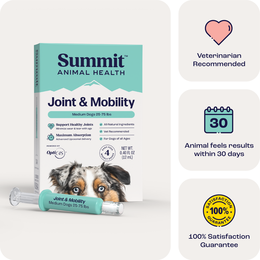 joint and mobility supplements for Medium dogs​