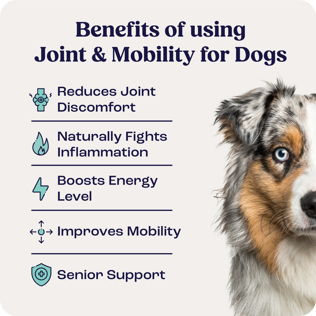 Joint & Mobility Liquid for Medium Dogs