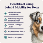 Joint & Mobility Liquid for Medium Dogs