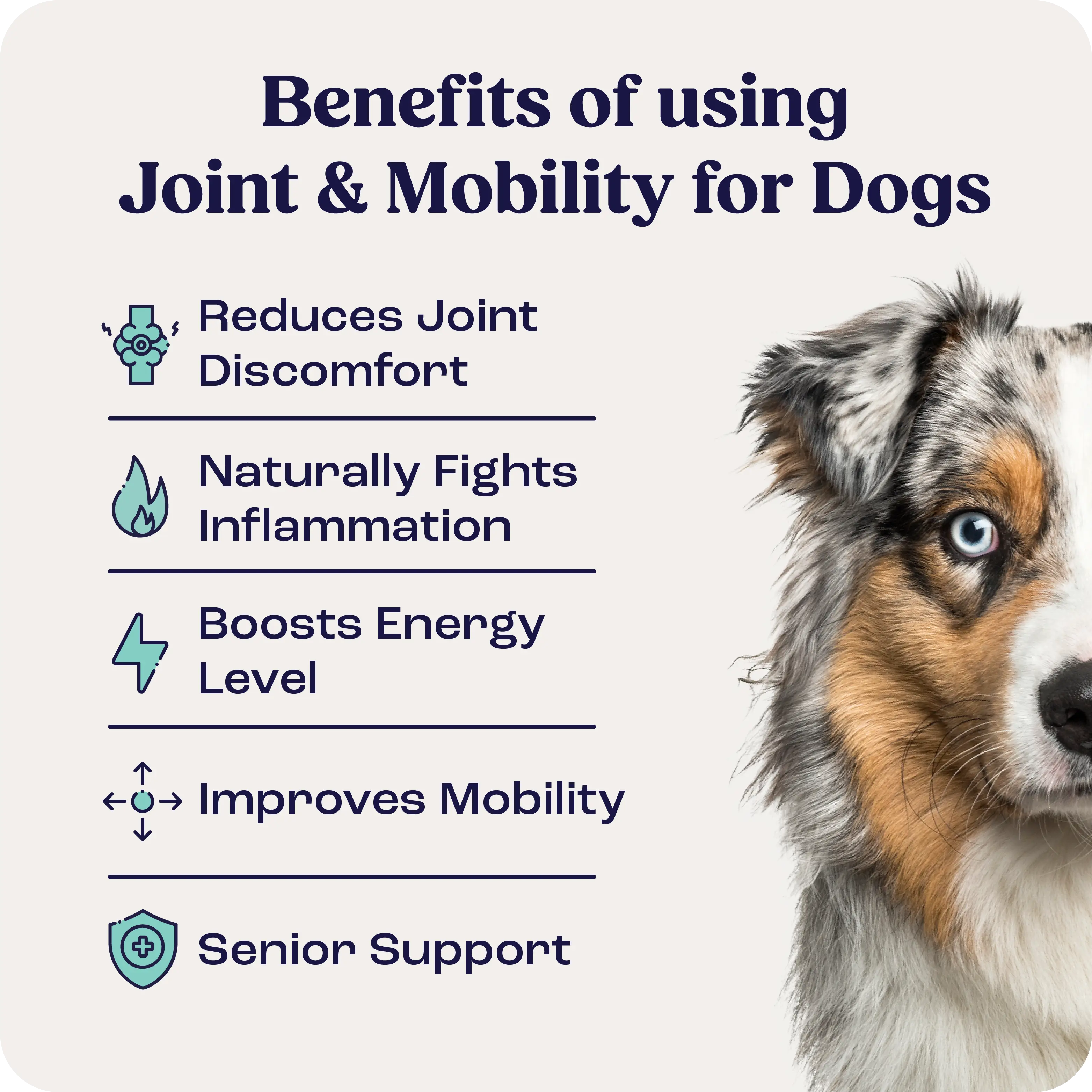 Joint & Mobility Liquid for Medium Dogs