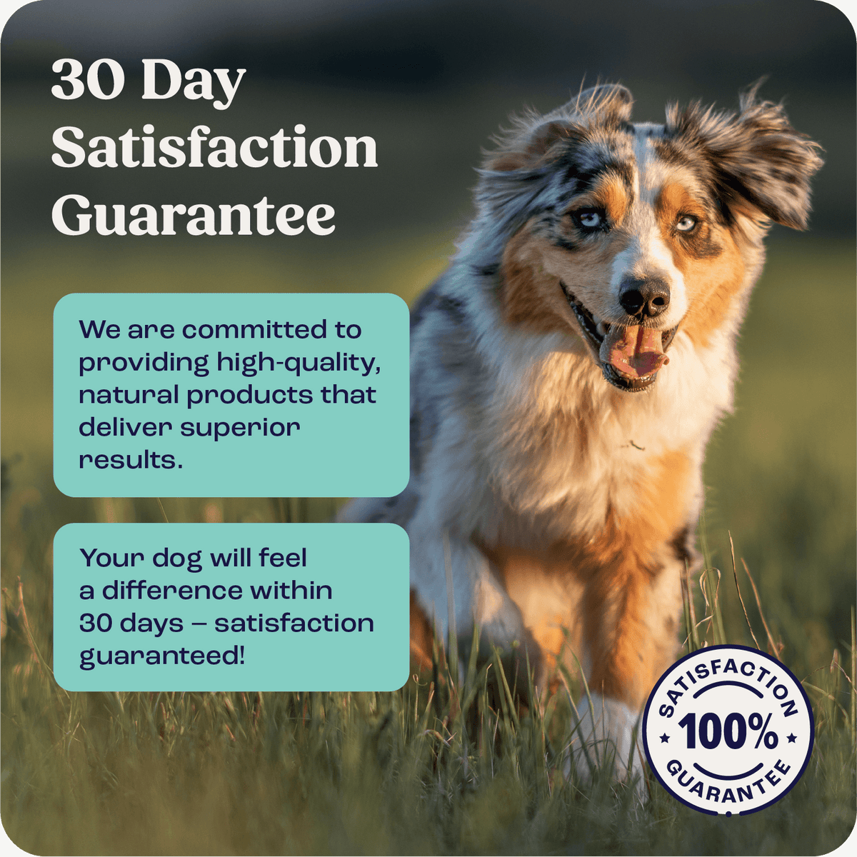 Liquid for Medium Dogs Pack with 30-Day Satisfaction Guarantee label.