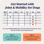 Liquid supplement for joint and mobility support in large dogs, start with 2 boxes for optimal benefits.