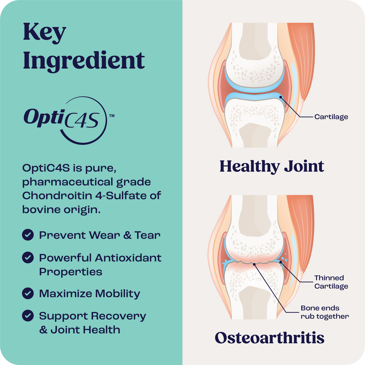 Liquid supplement for joint health in large dogs featuring OptiC4S benefits.