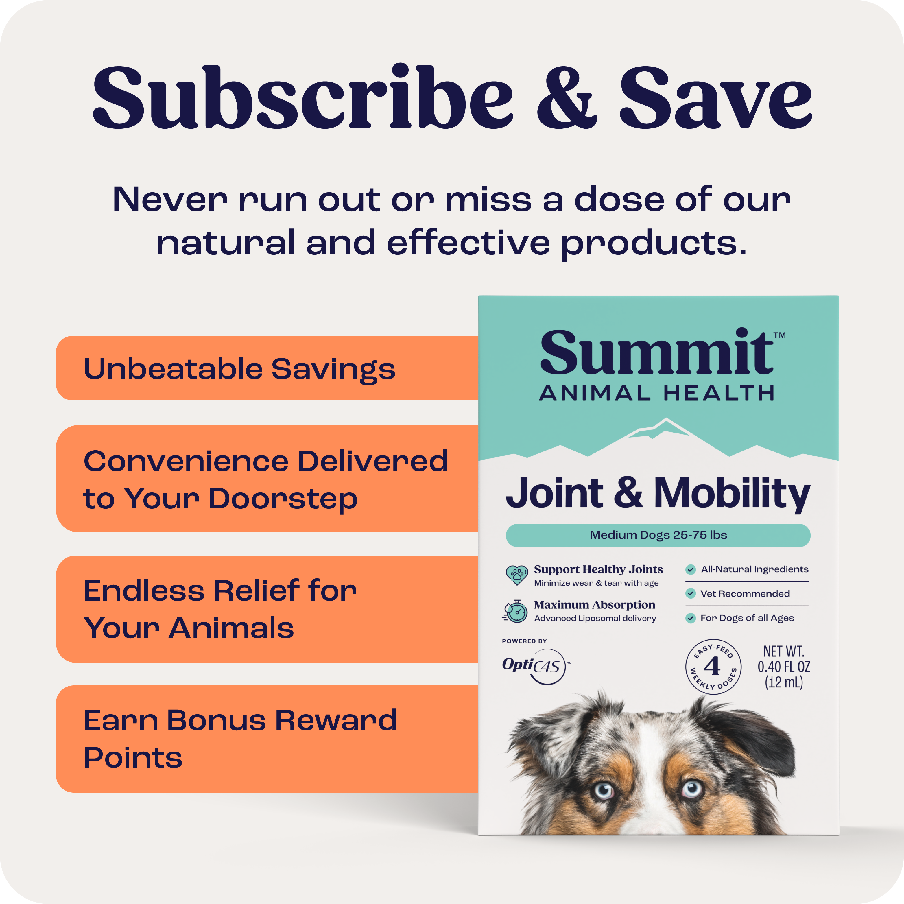 Joint & Mobility Liquid for medium dogs subscription offer with benefits.