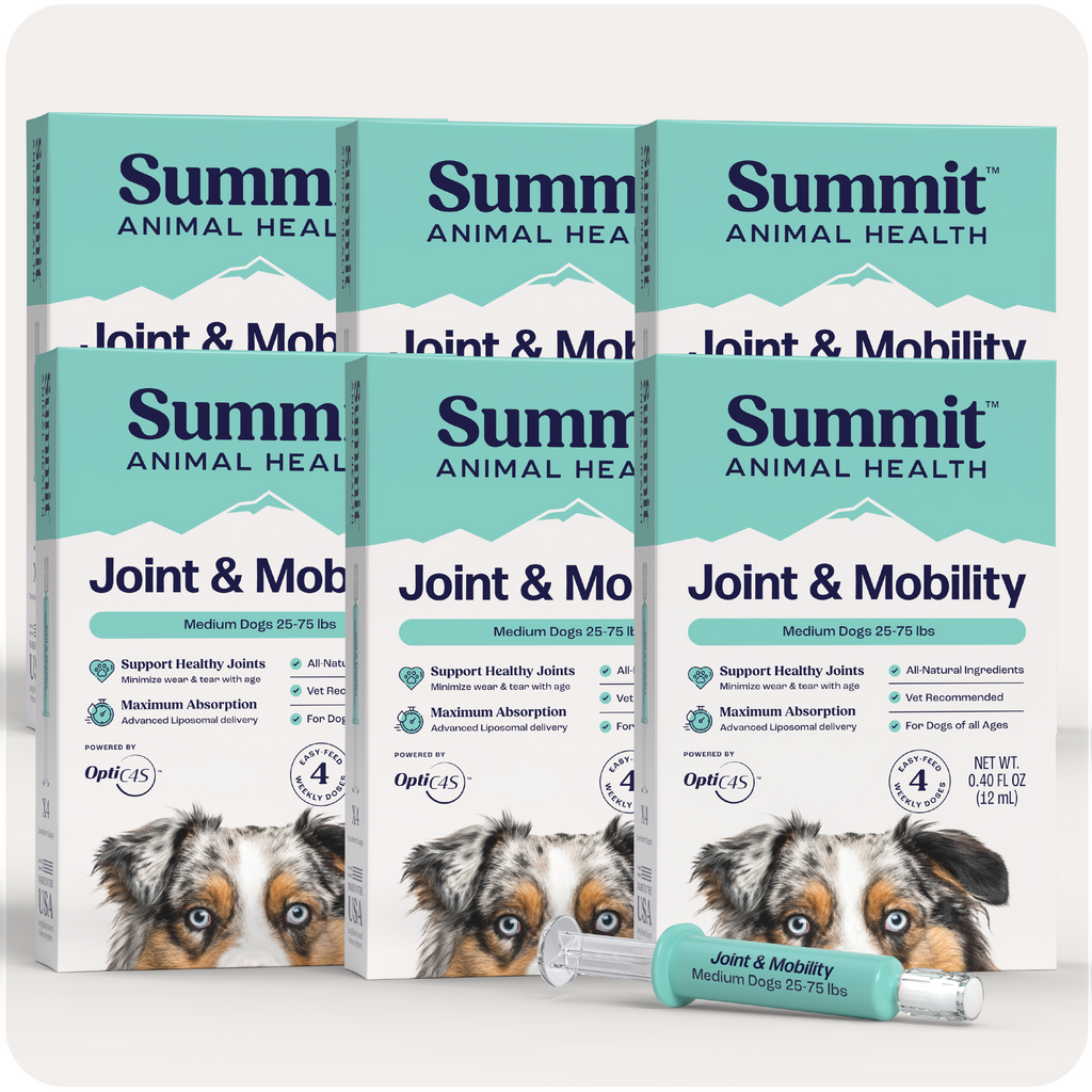 Joint & Mobility Liquid for medium dogs packaging by Summit Animal Health.