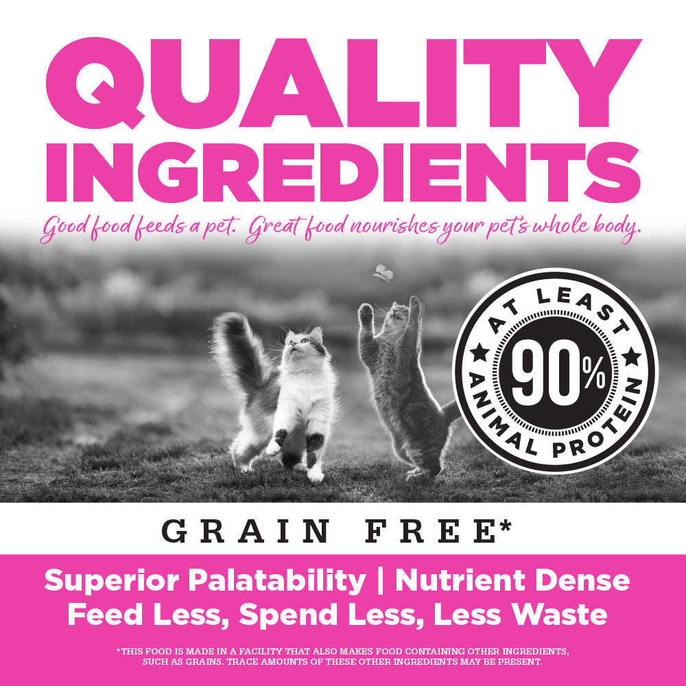 Cat Food product image 5