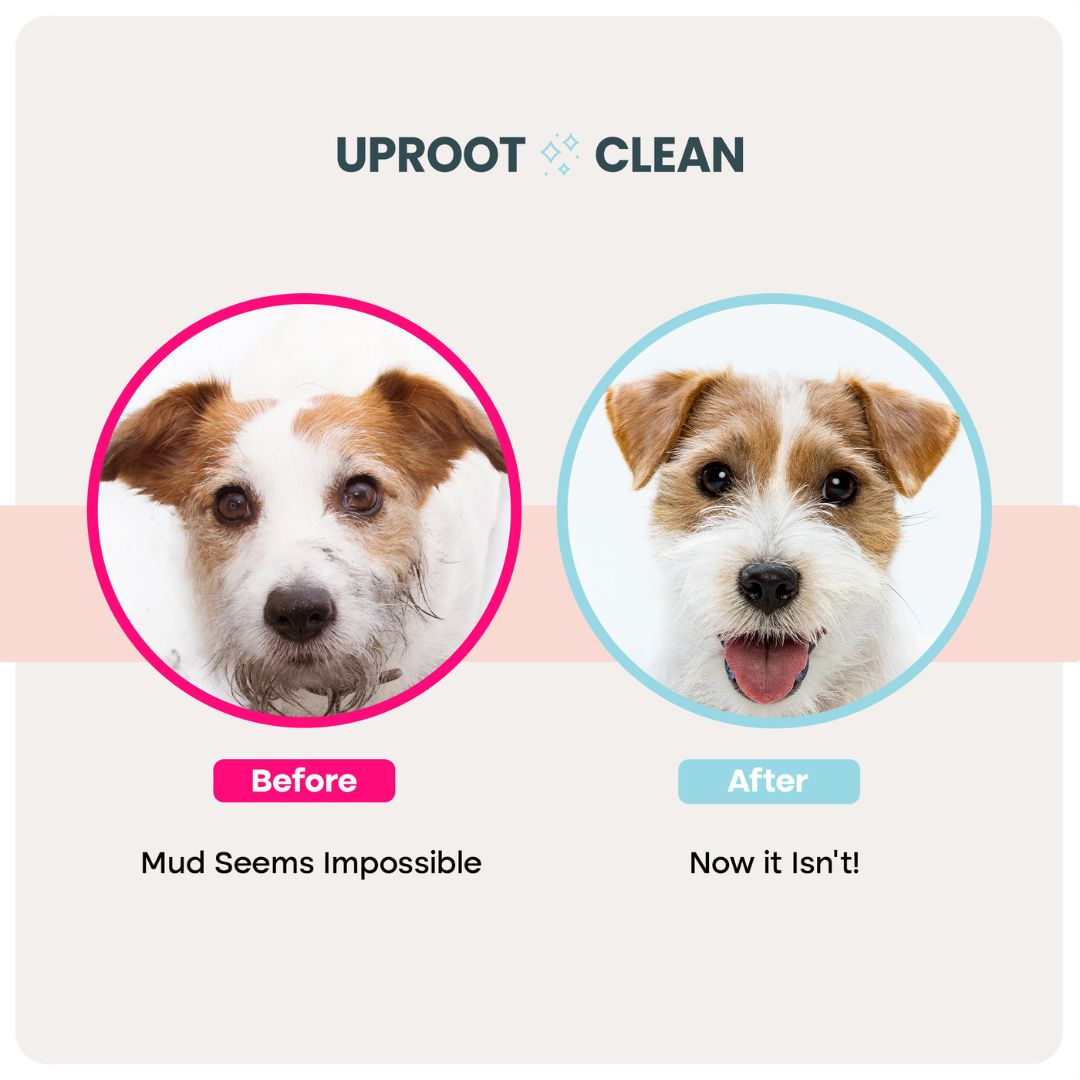 Pet Grooming Glove Wipes product image 2