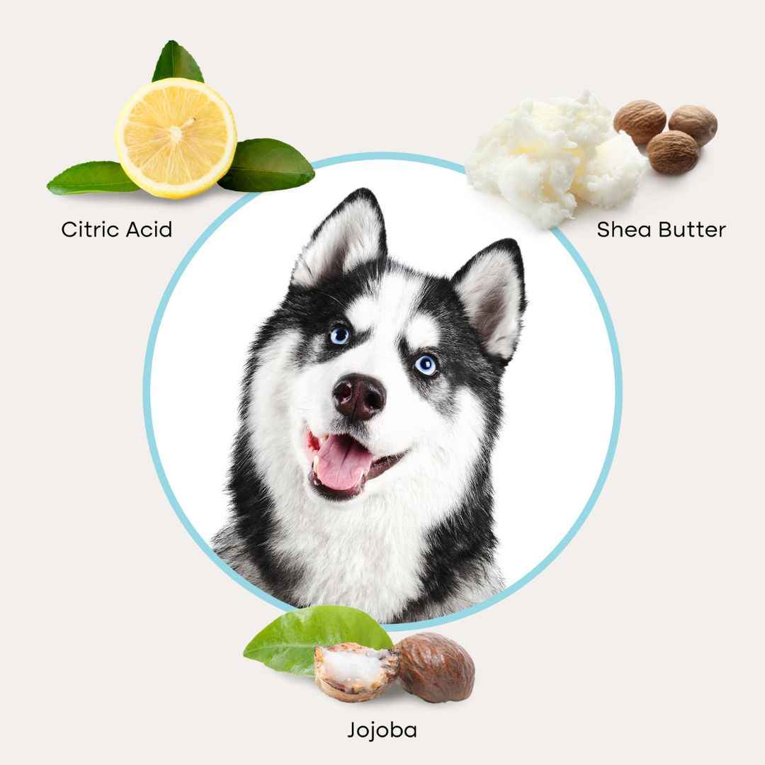 Pet Grooming Glove Wipes product image 4