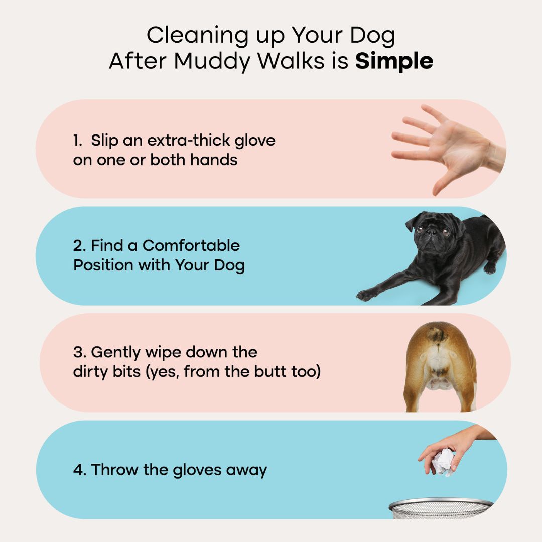 Pet Grooming Glove Wipes product image 5