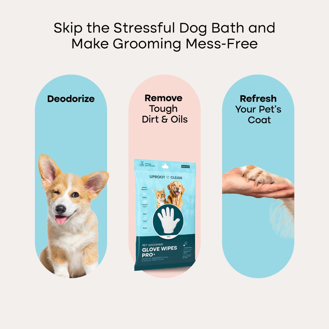 Pet Grooming Glove Wipes product image 6