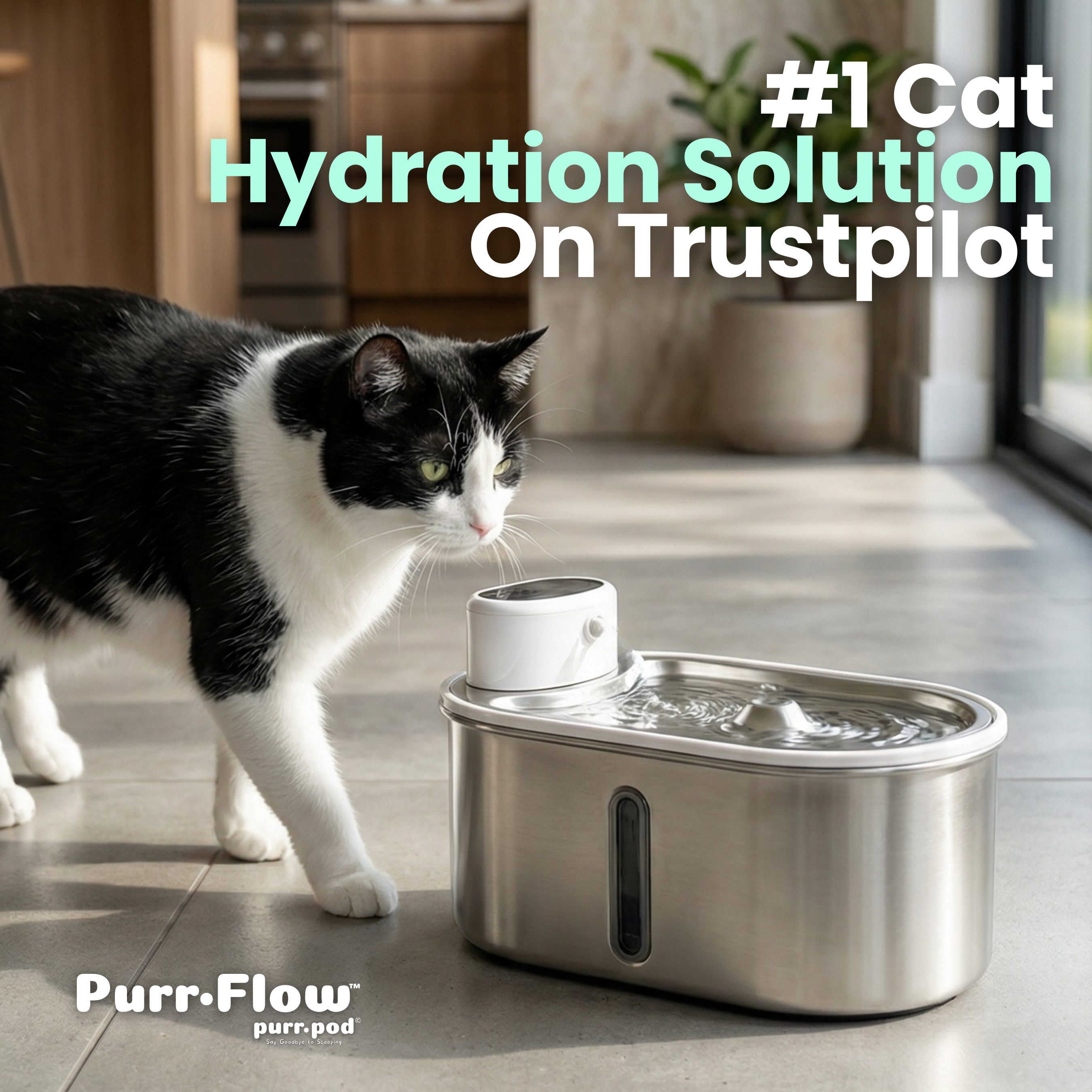 Rechargeable Stainless Steel Pet Water Fountain product image 4