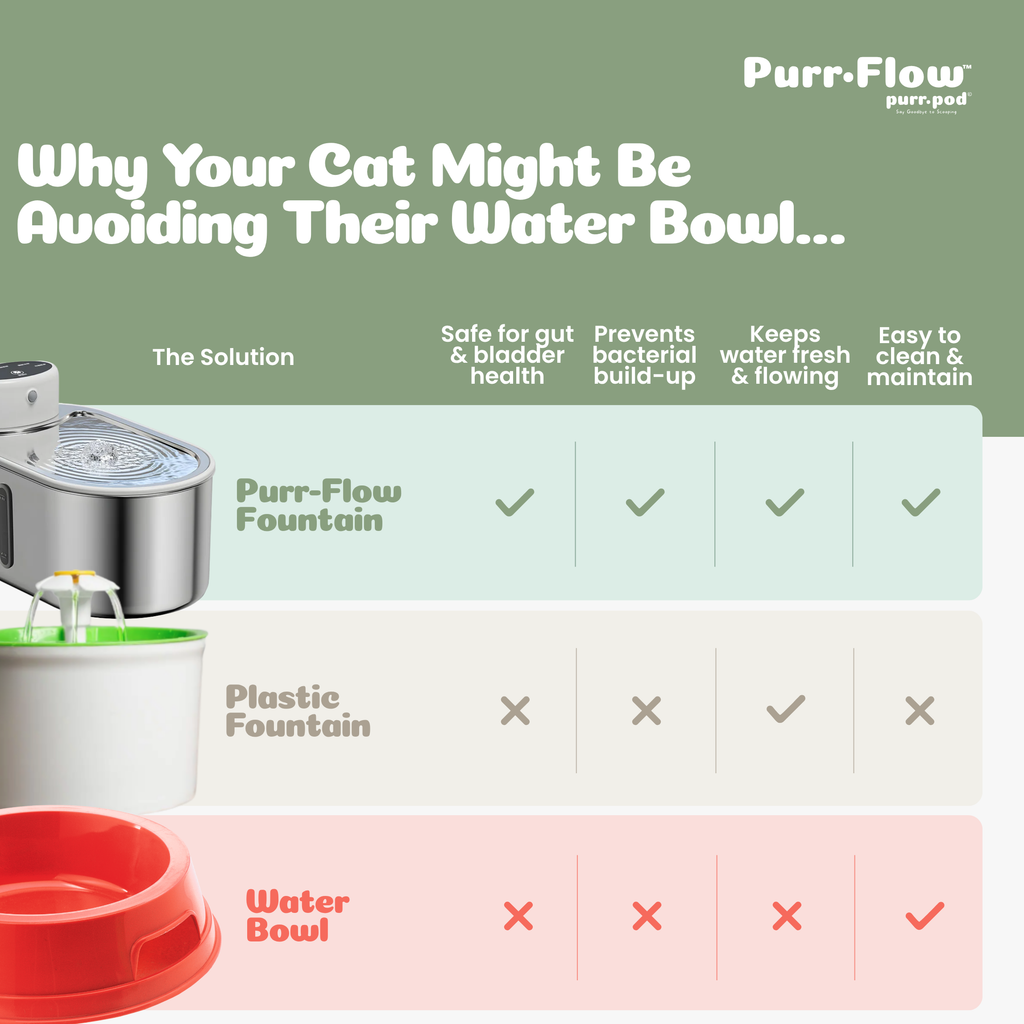 Rechargeable Stainless Steel Pet Water Fountain product image 5