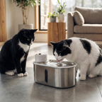 Rechargeable Stainless Steel Pet Water Fountain product image 6